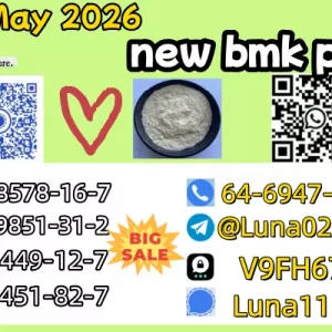 5449-12-7 BMK Chemical Supplier 28578-16-7 PMK