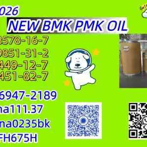 5449-12-7 BMK Chemical Supplier