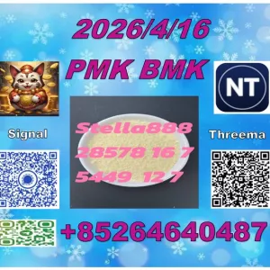 Raw material supply chain CAS 5449-12-7 BM.K PLUS 28578-16-7 PM.K