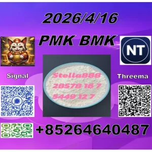 good-seller P.M.K 28578-16-7 and BM.K 5449-12-7/49851-31-2