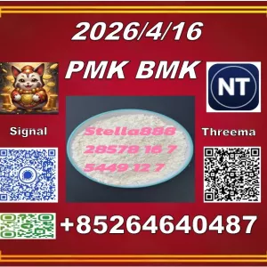 Best-quality PM.K 28578-16-7 BM.K 5449-12-7/49851-31-2
