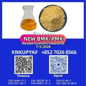 PM.K CAS 28578-16-7 integrated with BM.K CAS 5449-12-7 inventory
