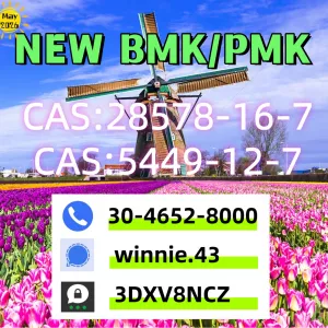 Reliable PM.K CAS 28578-16-7 with BM.K 5449-12-7 flow
