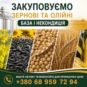 Закуповуємо сільськогосподарські культури (база та некондиція)