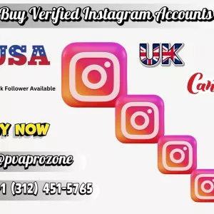 Top Platforms for Buying Organic Instagram Accounts Securely
