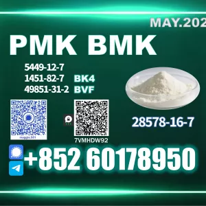 New PM.K CAS 28578-16-7 Professional Service