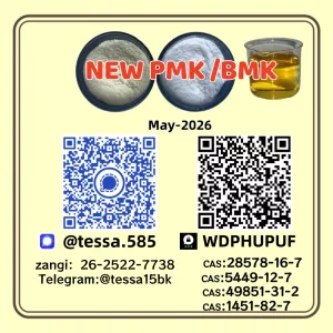 PM.K 28578-16-7 and BM.K 5449-12-7 49851-31-2 Specialty Chemical Intermediates Supplier