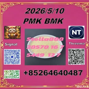 Hot selling PM.K cas28578-16-7 and BM.K cas5449-12-7/49851-31-2 have stock now
