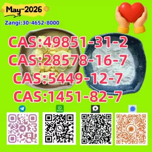 CAS 5449-12-7 BM.K and cas28578-16-7 PM.K /New iterms in stock
