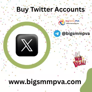 Buy Twitter Account 🥇 Best Prices | bigsmmpva.com