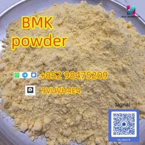 NEW PMK BMK CAS 5449-12-7 High Quality Supply Fast Delivery From China