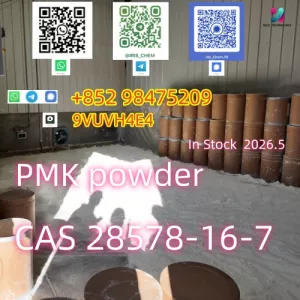 China Factory CAS 28578-16-7 Alternative Raw Materials Precursor Supply In Stock 2026.5