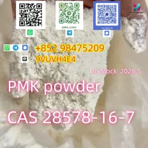 NEW PMK CAS 28578-16-7 BMK CAS 5449-12-7 Powder & Oil Raw Materials Precursor China Factory