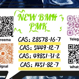 Best Value 1451 - 82 - 7 bk4 49851 - 31 - 2 In Stock