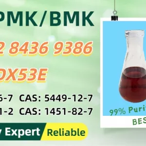 Focus on Speed 5449-12-7 Readiness 28578-16-7 B/P.MK