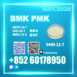 manufacturer direct supply new BMK CAS 5449-12-7