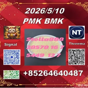 Cas 28578-16-7 PM.K and cas 5449-12-7 BM.K/49851-31-2/Seeking long-terms customers