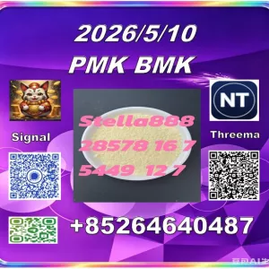 Hot-selling PM.K cas 28578-16-7 and BM.K cas 5449-12-7/49851-31-2