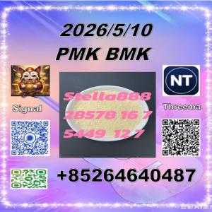 Bulk cas 28578-16-7 P-MK and CAS 5449-12-7 B-MK/ 49851-31-2