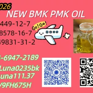 Security and stability pathway PMK 28578-16-7 AND BMK 5449-12-7