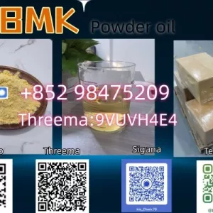 PMK BMK Raw Materials Precursor top quality China source factory 2026.5