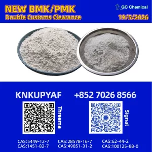 CAS 28578-16-7 integrated alongside BMK CAS 5449-12-7