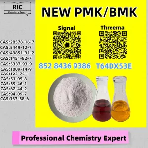 Alongside these P.MK CAS 28578-16-7 Industry-Leading Safety 5449-12-7
