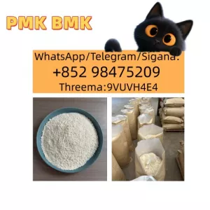 Buy the best BMK Glycidic Acid CAS 28578-16-7 Powder Oil