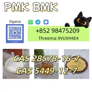 CAS 28578-16-7 China factory supply 2026.5