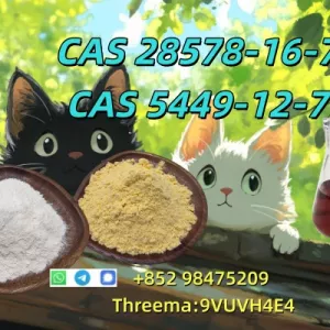 NEW PMK BMK CAS 5449-12-7 Alternative Raw Materials Precursor Cheap Price In Stock Supply
