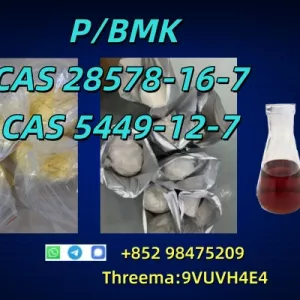 CAS 5337-93-9 NEW PMK BMK Top Quality Source Factory