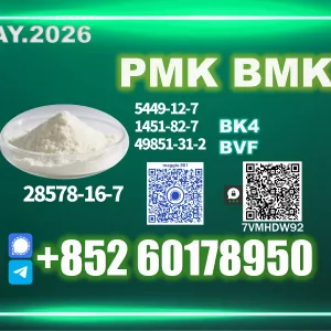 CAS 28578-16-7 New PM.K B.MK Trusted logistics