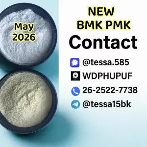CAS 5449-12-7 BMK Glycidic Acid sodium salt Powder 99% High Purity