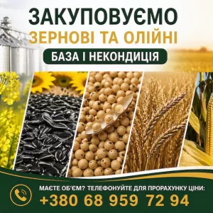 Закуповуємо зернові та олійні по всій Україні