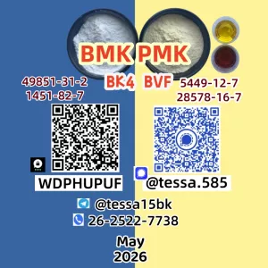 Cas 5449-12-7 Glycidic Acid sodium salt e High Yield28578-16-7 PMK Organic Yellow Pmk Powder