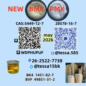 BMK Glycidic Acid sodium salt 5449-12-7 Powder Organic Yellow Powder 28578-16-7 PMK