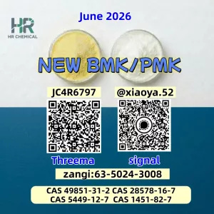 Cas 5449-12-7 Glycidic Acid (sodium salt) High Yield Organic Yellow Bmk Powder