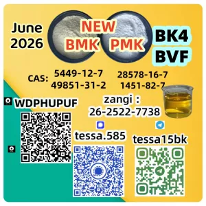 Cas 5449-12-7 BMK Glycidic Acid sodium salt Powder Yellow High Yield 28578-16-7 PMK