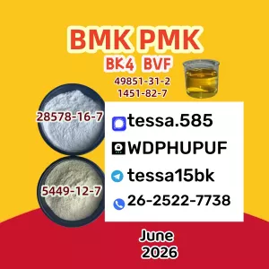 Cas 28578-16-7 Ethyl Glycidate High Yield 5449-12-7 BMK Organic White Pmk Powder