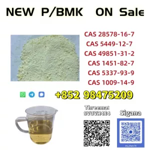 NEW PMK BMK CAS 5449-12-7 Unique Factory Supply 2026.5