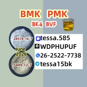Cas 28578-16-7 Ethyl Glycidate High Yield 5449-12-7 BMK Organic Pmk Powder