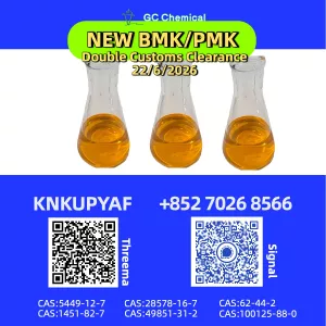 International freight availability PMK CAS 28578-16-7 services