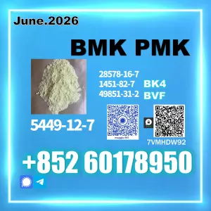 New B.MK CAS 5449-12-7 PM.K Direct Manufacture