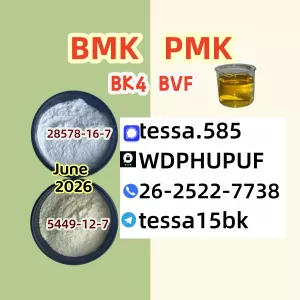 Organic Intermediates Bulk Supplier cas 28578-16-7 PMK 5449-12-7,