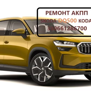 Діагностика та ремонт АКПП Skoda Kodiaq  DQ500 # 0DL300013G , 0BH325025PX