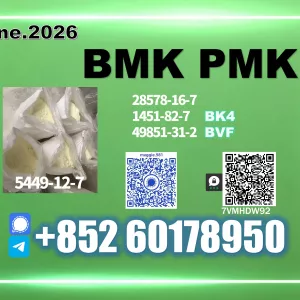 CAS 5449-12-7 New BMK PMK Higher Output
