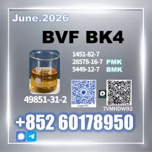 CAS 49851-31-2 BVF bk4 1451-82-7 Chemical Supplier