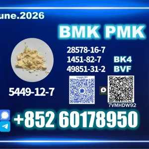 Trusted worldwide CAS 5449-12-7 New B.MK Large Capacity Stable