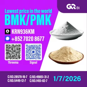 Sell New BM.K/CAS:5449-12-7/ PM.K 28578-16-7 / Global Supply