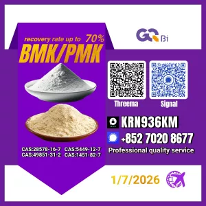 Sell New BM.K/ CAS:28578-16-7/ PM.K/5449-12-7 / Bulk Supply